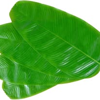 Kolapata PVC Table Mat (6pcs)